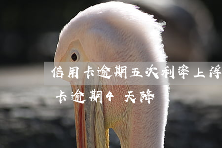 信用卡逾期五次利率上浮(浦發(fā)信用卡逾期4天降額)