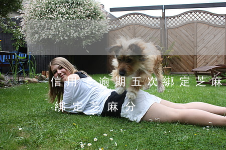 信用卡逾期五次綁定芝麻分(信用卡逾期五次綁定芝麻分)