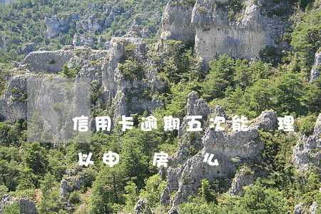信用卡逾期五次能辦理貸款嗎(有五次逾期可以申請房貸么)