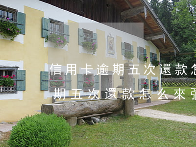 信用卡逾期五次還款怎么來彌補-信用卡逾期五次還款怎么來彌補的