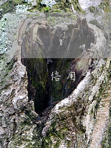 信用卡逾期五百四年多少钱