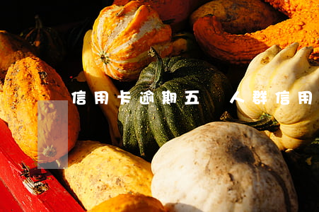 信用卡逾期五種人群(信用卡逾期五種人群)
