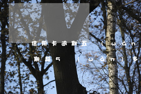 信用卡逾期五萬(wàn)上案了(信用卡逾期超5萬(wàn)多久起訴)