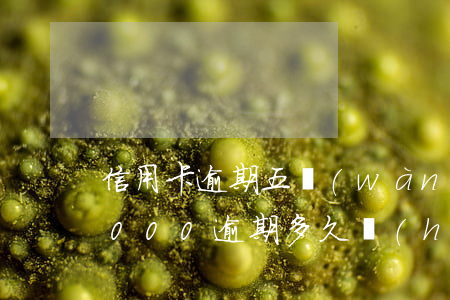 信用卡逾期五萬(wàn)上門嗎(信用卡5000逾期多久會(huì)找上門)