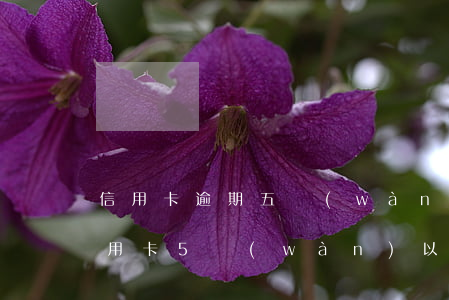 信用卡逾期五萬(wàn)以上有多少人(信用卡5萬(wàn)以上逾期會(huì)坐牢嗎)