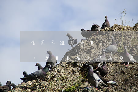 信用卡逾期五萬(wàn)以下沒(méi)力償還(信用卡逾期五萬(wàn)以下沒(méi)力償還)