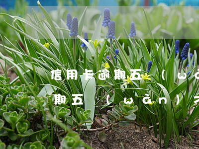 信用卡逾期五萬(wàn)才立案(信用卡逾期五萬(wàn)才立案嗎)