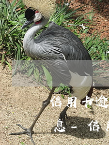 信用卡逾期五萬(wàn)是指本金還是利息-信用卡逾期五萬(wàn)是指本金還是利息呢