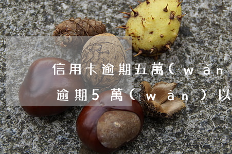 信用卡逾期五萬(wàn)是額度嗎(信用卡逾期5萬(wàn)以上)