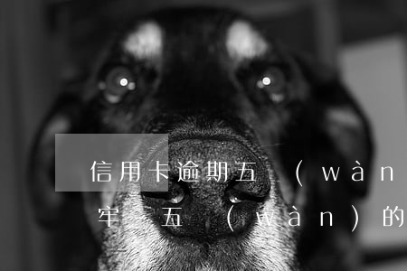 信用卡逾期五萬(wàn)被起訴要不要坐牢-五萬(wàn)的信用卡逾期多久會(huì)被起訴