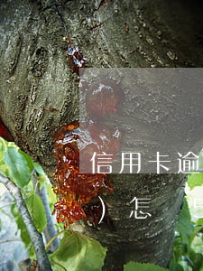 信用卡逾期五萬(wàn)鎖卡會(huì)怎樣(5萬(wàn)信用卡逾期)
