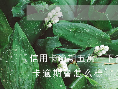 信用卡逾期五萬一下會起訴嗎 信用5萬以上卡逾期會怎么樣
