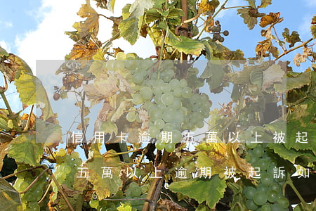 信用卡逾期五萬以上被起訴什么后果(信用卡五萬以上逾期被起訴如何應訴)