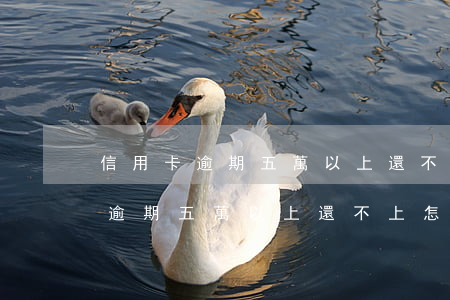 信用卡逾期五萬以上還不上怎么辦-信用卡逾期五萬以上還不上怎么辦?