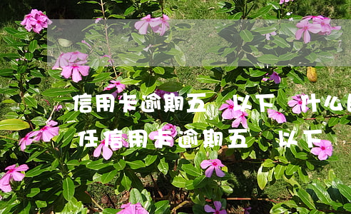 信用卡逾期五萬以下負什么民事責(zé)任(信用卡逾期五萬以下負什么民事責(zé)任)