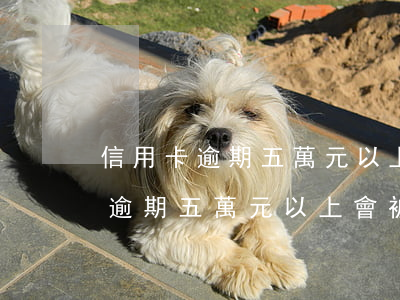信用卡逾期五萬元以上會被判刑嗎-信用卡逾期五萬元以上會被判刑嗎?