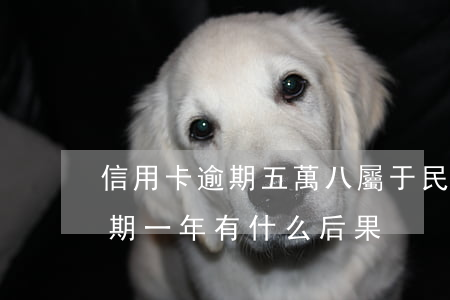信用卡逾期五萬八屬于民事(五千塊信用卡逾期一年有什么后果)