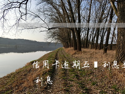 信用卡逾期五萬利息是多少（信用卡逾期五萬利息）