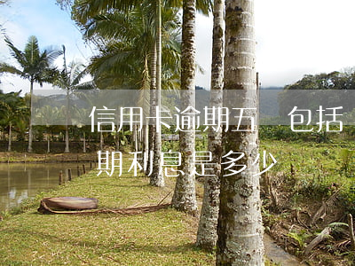 信用卡逾期五萬包括貸款么(五萬元信用卡逾期利息是多少)