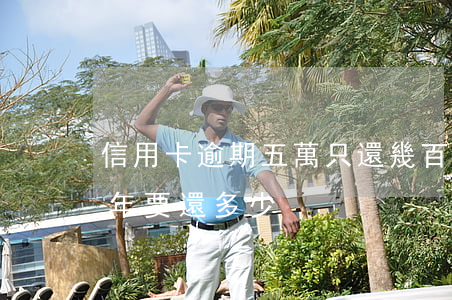 信用卡逾期五萬只還幾百(五萬信用卡逾期一年要還多少)