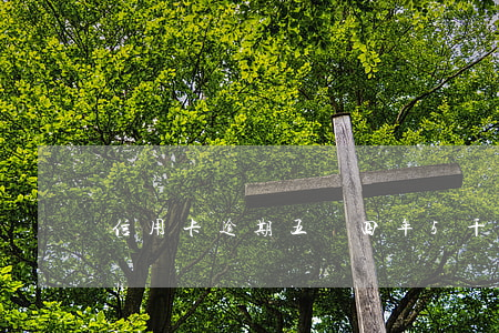 信用卡逾期五萬四年(5千信用卡逾期兩年半)