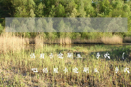 信用卡逾期五萬多次會(huì)坐牢嗎貼吧（信用卡逾期五萬多次會(huì)坐牢嗎）