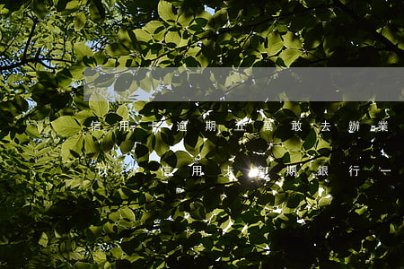 信用卡逾期五萬敢去辦業(yè)務嗎(5萬以下信用卡逾期銀行一般怎么處理)
