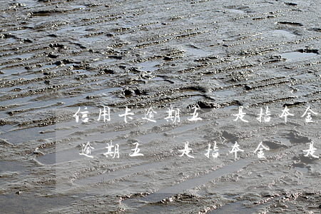 信用卡逾期五萬是指本金還是利息-信用卡逾期五萬是指本金還是利息呢