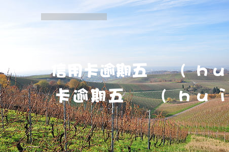 信用卡逾期五萬會(huì)被拘留嗎(信用卡逾期五萬會(huì)被拘留嗎)