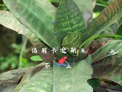信用卡逾期五萬會上門嗎(信用卡逾期兩千五會不會上門)