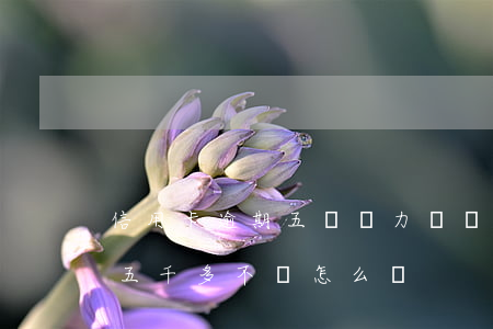 信用卡逾期五萬無力償還怎么辦(信用卡逾期五千多不還怎么辦)