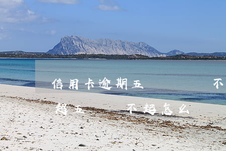 信用卡逾期五萬確實還不上怎么解決(信用卡超五萬還不起怎么辦)