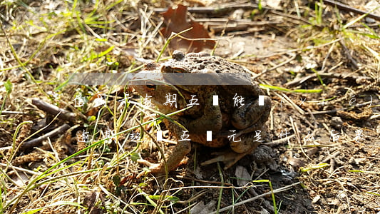 信用卡逾期五萬能協(xié)商嗎(信用卡逾期超過五萬元是什么后果)