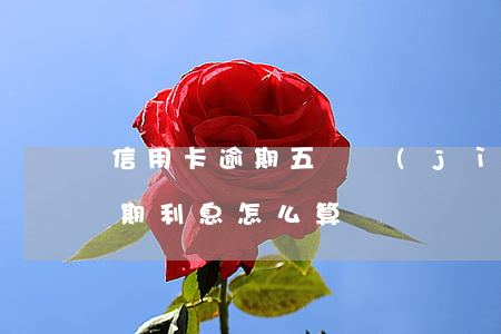 信用卡逾期五萬計(jì)算(5萬信用卡逾期利息怎么算)