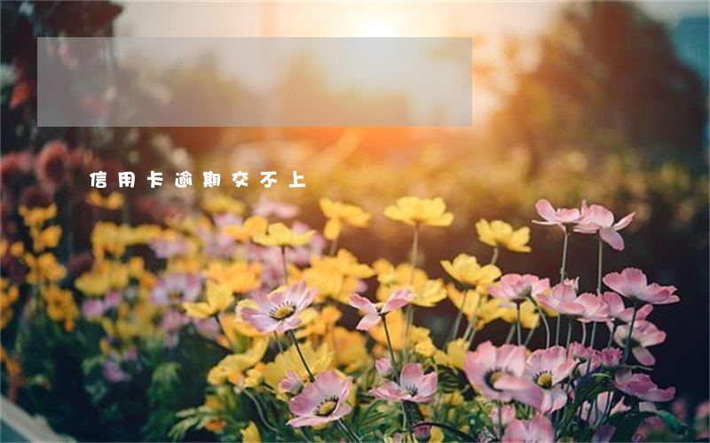 信用卡逾期交不上
