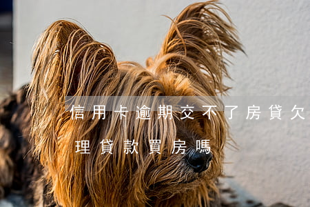 信用卡逾期交不了房貸(欠信用卡沒逾期能辦理貸款買房嗎)