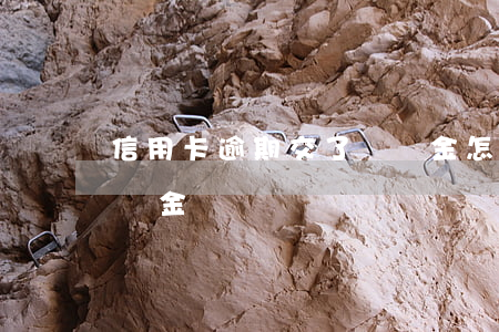 信用卡逾期交了違約金怎么算(信用卡逾期違約金)