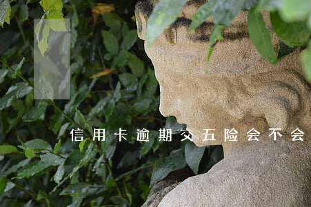 信用卡逾期交五险会不会找到单位