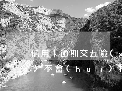 信用卡逾期交五險(xiǎn)會(huì)不會(huì)找到單位