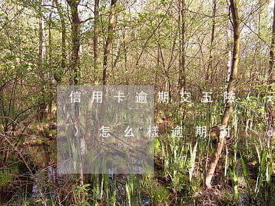信用卡逾期交五險(xiǎn)會(huì)怎么樣(逾期對(duì)于買(mǎi)五險(xiǎn)有沒(méi)有影響)