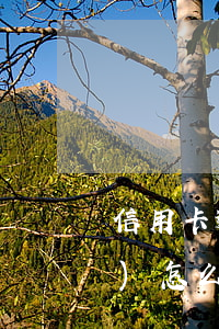 信用卡逾期交五險(xiǎn)會(huì)怎么樣(逾期對(duì)于買五險(xiǎn)有沒有影響)