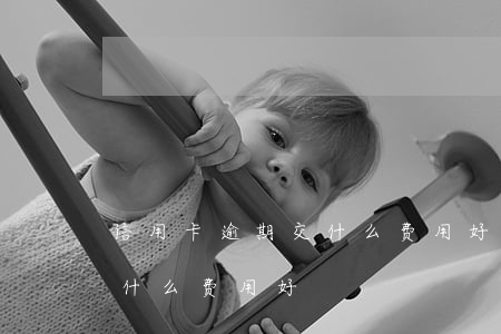 信用卡逾期交什么费用好一点（信用卡逾期交什么费用好）