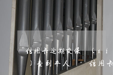 信用卡逾期交保險(xiǎn)會(huì)查到本人嗎-信用卡逾期交保險(xiǎn)會(huì)查到本人嗎怎么辦
