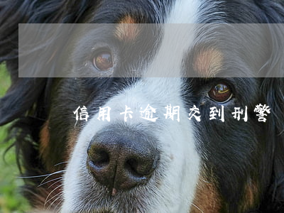 信用卡逾期交到刑警隊嗎