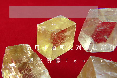 信用卡逾期交到派出所自首(因信用卡逾期被派出所關(guān)起來(lái)后會(huì)怎么樣)