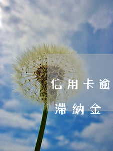 信用卡逾期交多少滯納金(信用卡超過幾天有滯納金)