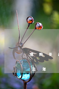信用卡逾期交情滿5年(信用卡4500逾期三年)