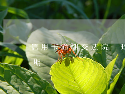 信用卡逾期交法院處理(法院如何判信用卡逾期)