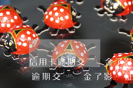 信用卡逾期交滯納金了影響征信嗎-信用卡逾期交滯納金了影響征信嗎怎么辦