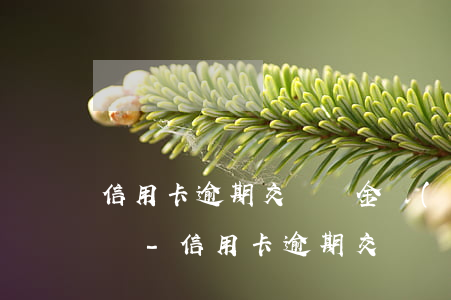 信用卡逾期交滯納金會(huì)影響征信嗎-信用卡逾期交滯納金會(huì)影響征信嗎知乎